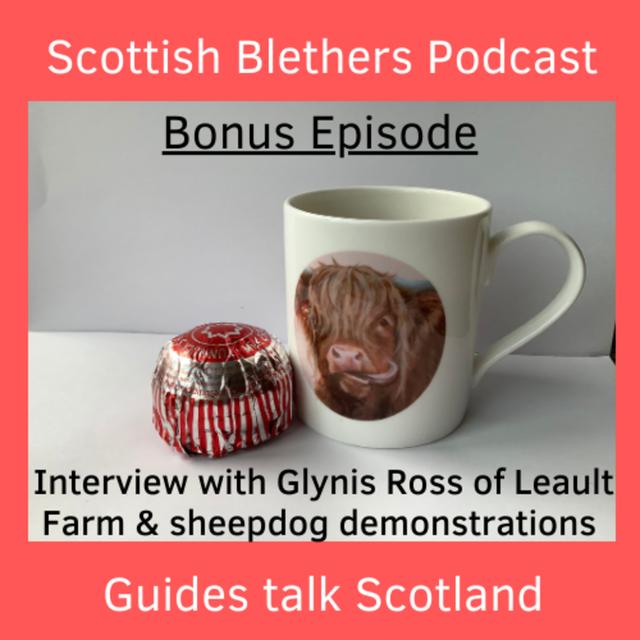 Bonus Episode | Interview with Glynis Ross of Leault Farm and Sheepdogs - podcast episode cover