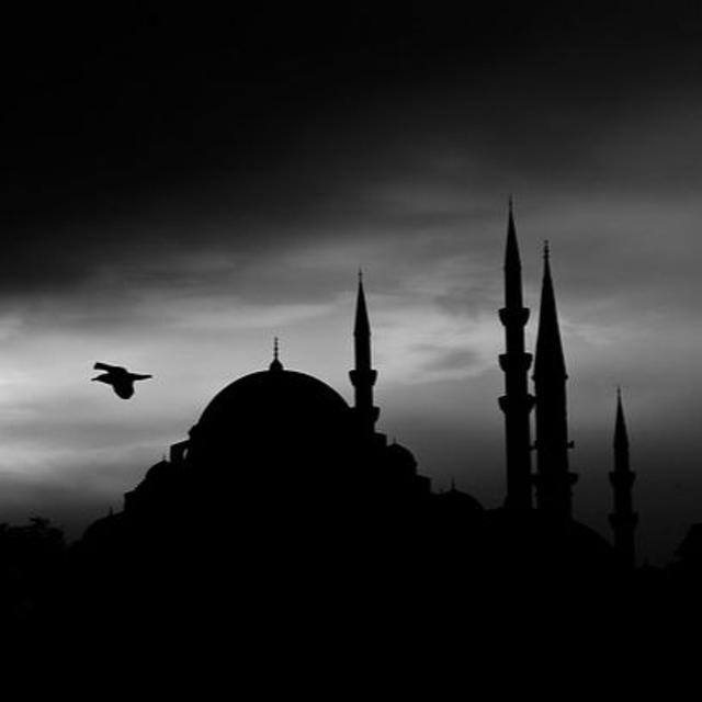 Goodbye Europe, Hello Islam! - The Tamar Yonah Show - podcast episode cover