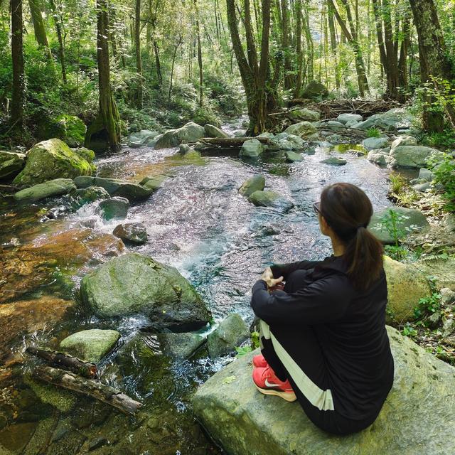 Guided Meditation  To Let Go of Suffering - podcast episode cover
