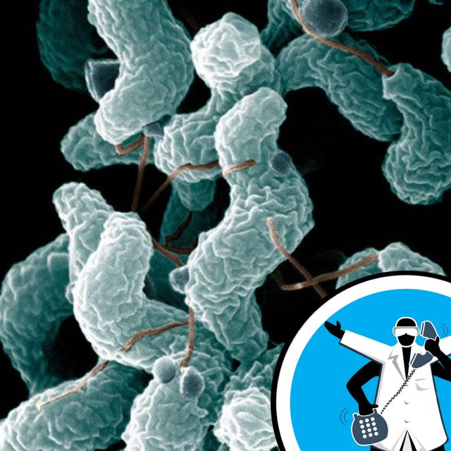Bombs and Bacteria - podcast episode cover