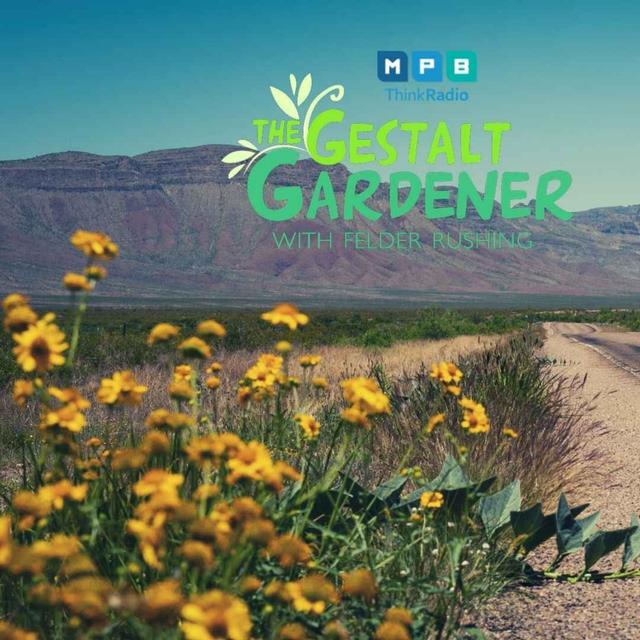 The Gestalt Gardener | West Texas Trip - podcast episode cover