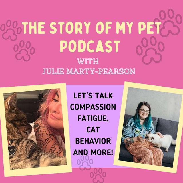 Let's Talk Compassion Fatigue, Cat Behavior and More! - podcast episode cover