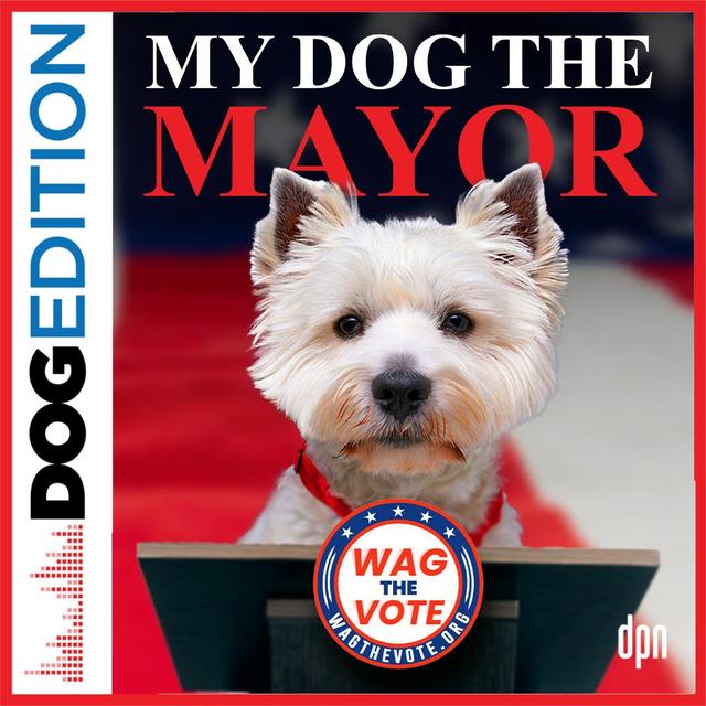 My Dog the Mayor | Dog Edition #75 - podcast episode cover