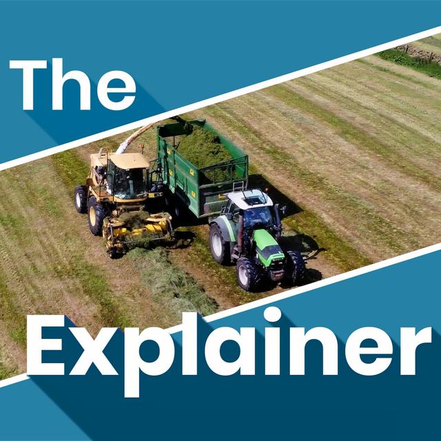 Why is there so much talk about a farmers' party in Ireland? - podcast episode cover