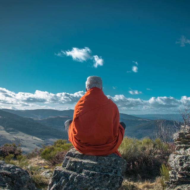 #96 — The Nature of Consciousness - podcast episode cover
