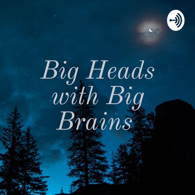 Modern Concentration Camps  - podcast episode cover