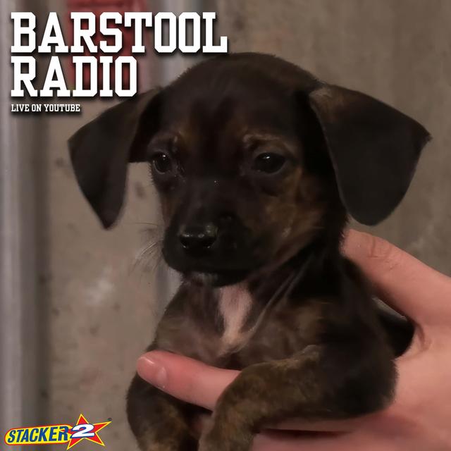 Adorable Puppies Derail Our Recap of Lies and Backstabbing in Surviving Barstool Episode 5 - podcast episode cover