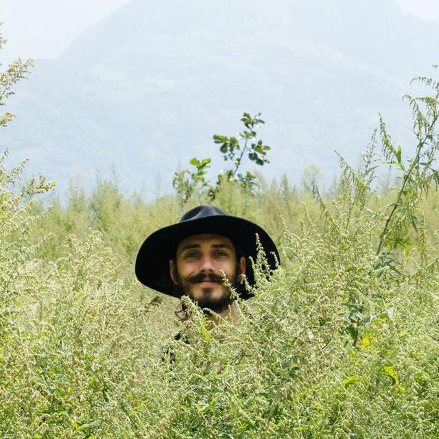 Health Dogma Dangers, Daoist Treasures & Adaptability for Longevity with Mason Taylor of Superfeast - podcast episode cover