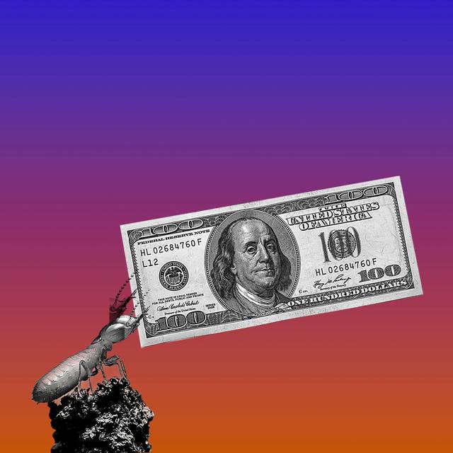 What's Eating the Economy? - podcast episode cover