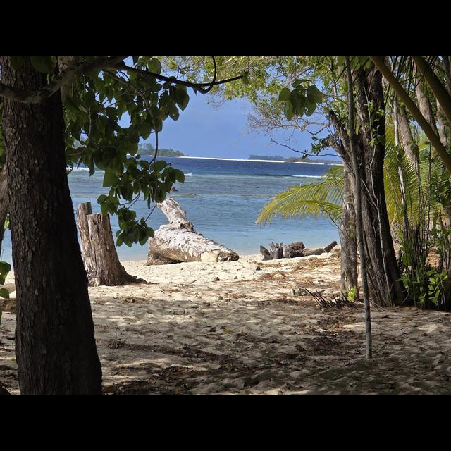 Papua New Guinea Experiences: Conservation, Culture, and Wildlife - podcast episode cover