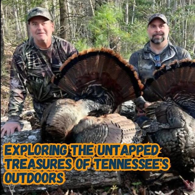 TW 408 - Exploring the Untapped Treasures of Tennessee's Outdoors - podcast episode cover