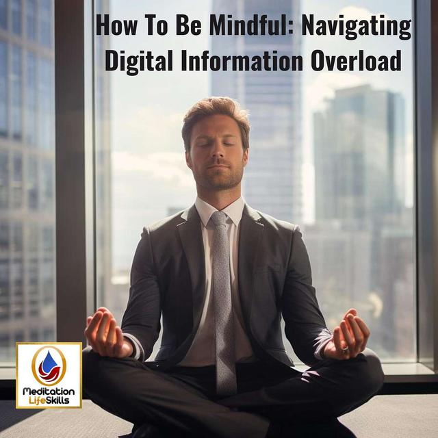 How To Be Mindful: Navigating Digital Information Overload - podcast episode cover
