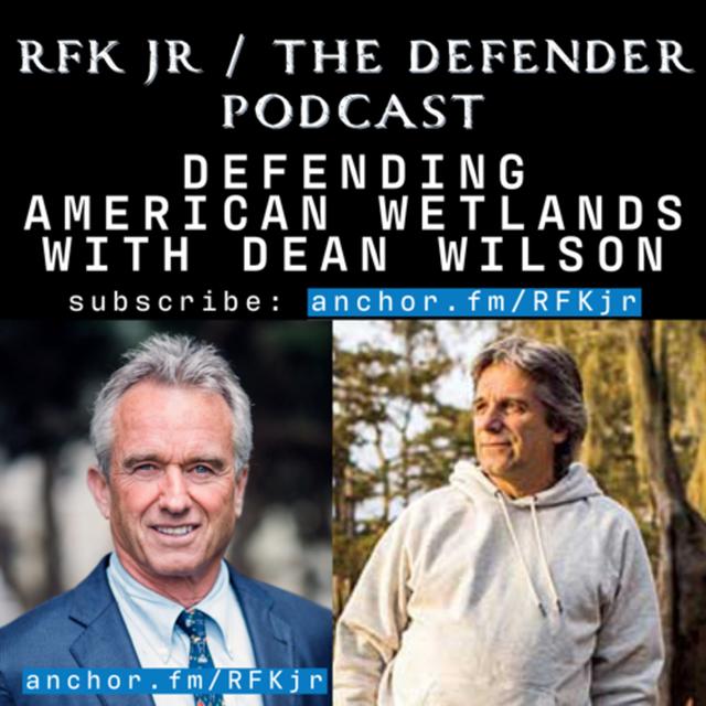 Defending American Wetlands with Dean Wilson - podcast episode cover