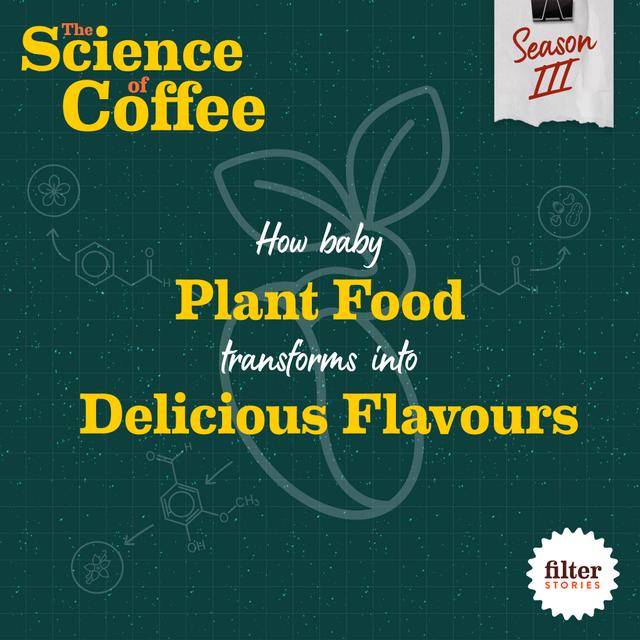 Coffee Roasting: How baby plant food transforms into delicious coffee flavours - podcast episode cover