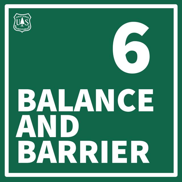 Balance & Barrier: The Future of Forest Threats - podcast episode cover