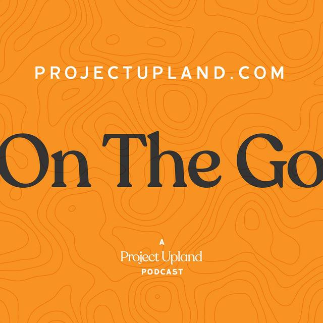 Midwestern Bobwhite Quail Conservation: The Time For Action Is Now - podcast episode cover