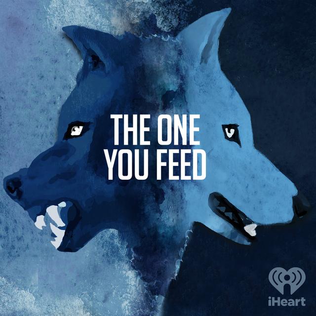 Embrace the Chaos: Finding Clarity Through Meditation with Henry Shukman (Part 1) - podcast episode cover
