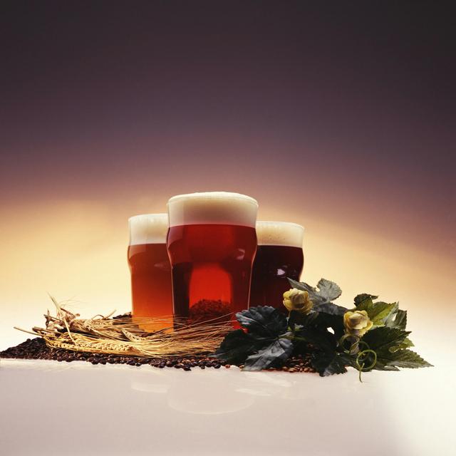 Beer Fermentation Hops Along - podcast episode cover