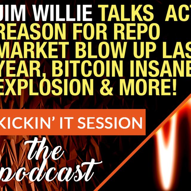 Jim Willie Talks Actual Reason for Repo Market Blow Up Last Year, Bitcoin's Explosion & Surprises! - podcast episode cover