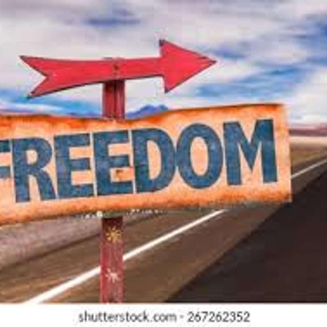 radio UNLEASHED #1459 - Let Freedom Ring - podcast episode cover