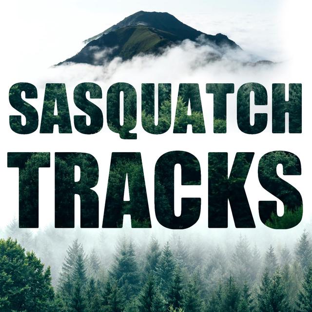 Kidnapped by Sasquatch | ST 62 - podcast episode cover