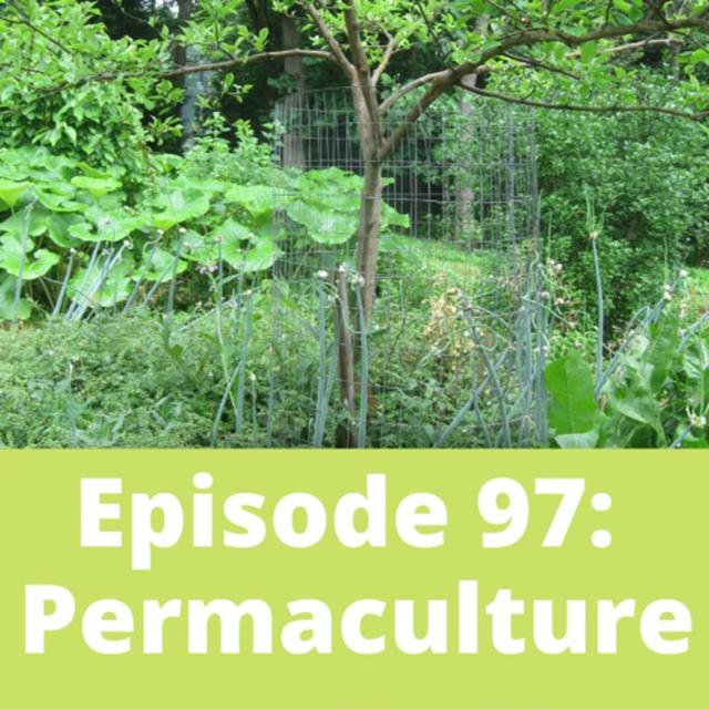 Permaculture - podcast episode cover