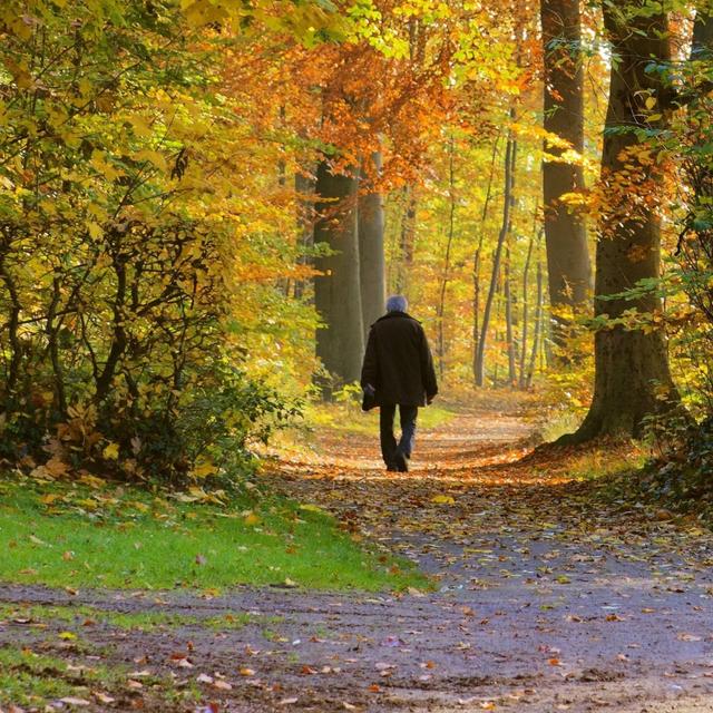 Mental gesund durch den Coronaherbst, Emissionsfreies Fliegen, Giftiges Bioplastik, Unbekanntes Objekt im Erdorbit - podcast episode cover