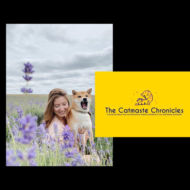 Xenia Praksina 'Lifestyle and Wedding Designer, Saving the Ocean and Shiba Inu Pup Keiko' - podcast episode cover