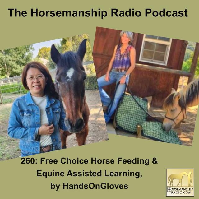 260: Free Choice Horse Feeding & Equine Assisted Learning, by HandsOnGloves - podcast episode cover