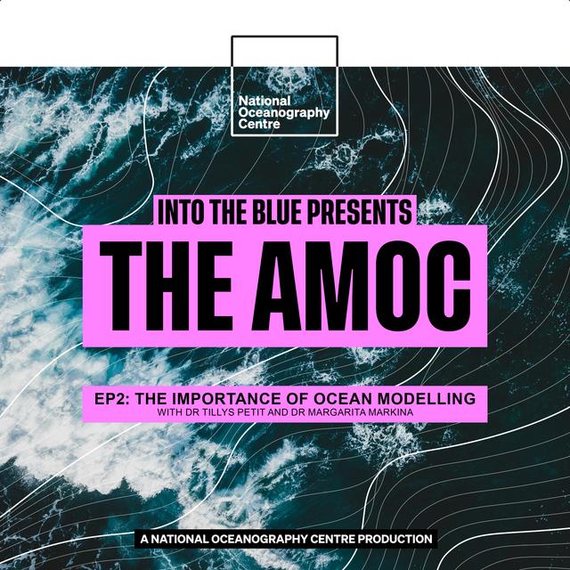 Why Ocean Models Are Key in Unlocking the AMOC's Future |  Into the Blue Presents: The AMOC Ep2 - podcast episode cover