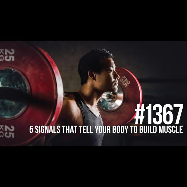 1367: The 5 Most Powerful Signals That Tell Your Body to Build Muscle - podcast episode cover