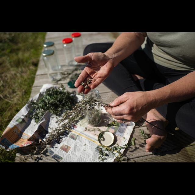 Exploring the healing power of herbs with Cath - podcast episode cover