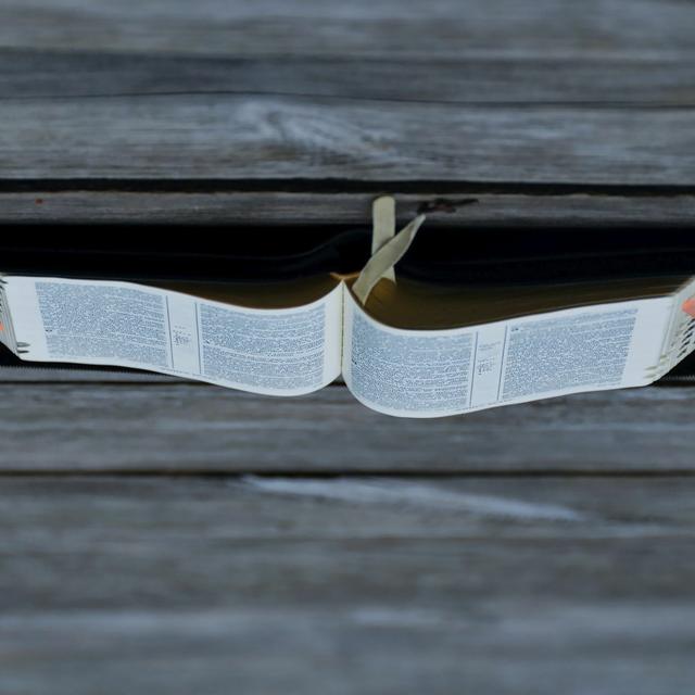 The Southern Baptist Convention & The Subordination of Scripture | OnlySubs w/ James Lindsay, Ep. 80 - podcast episode cover