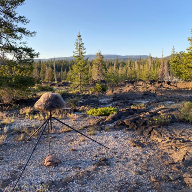 167: Nighthawks Over Chimney Crater Lava Flow - podcast episode cover