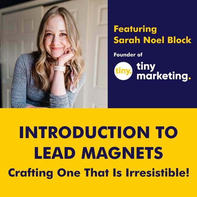 Episode 73: Introduction to Lead Magnets: Crafting One That Is Irresistible - podcast episode cover