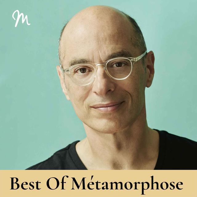 La Prophétie des abeilles avec Bernard Werber [rediffusion] - podcast episode cover