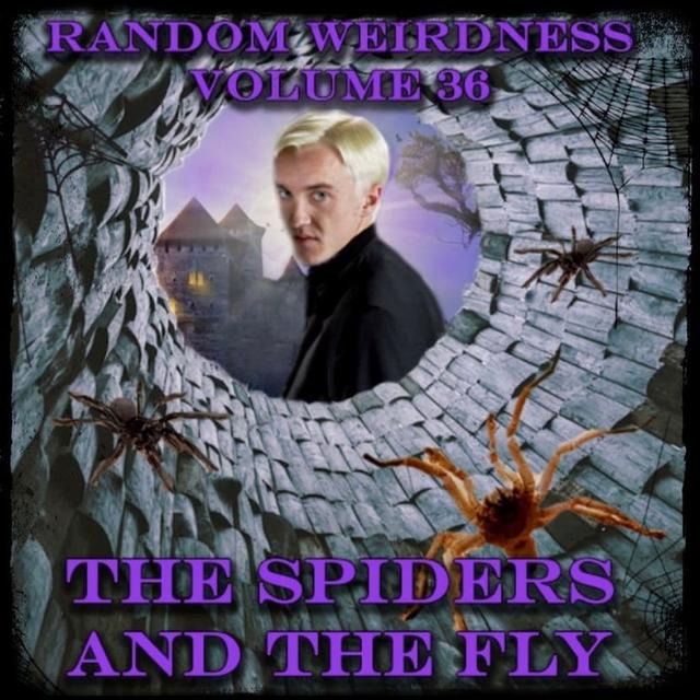 Random Weirdness 36: The Spiders and The Fly - podcast episode cover