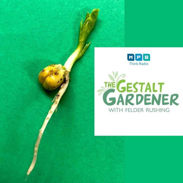The Gestalt Gardener | Pushing Pea - podcast episode cover