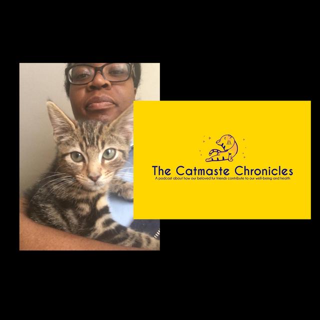 Sarah Bishop 'Jambo Cards, Diversity, Black Owned Business Support and Cats' - podcast episode cover