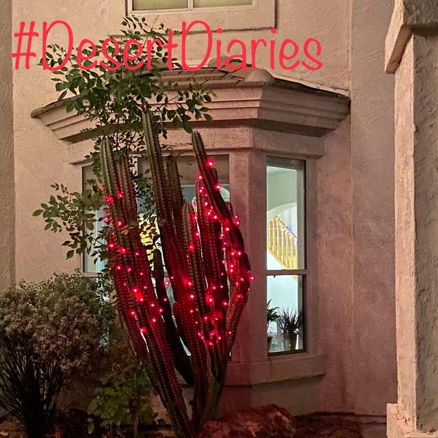 Merry Christmas from the desert! - podcast episode cover