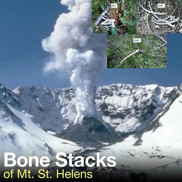 S03E30 - Bone Stacks of Mt. St. Helens - podcast episode cover