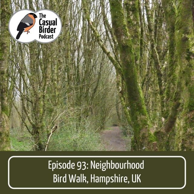 #93 Neighbourhood Bird Walk, Hampshire, UK - podcast episode cover