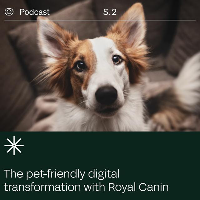 Transformation Stories: The Pet-Centric Experience - podcast episode cover