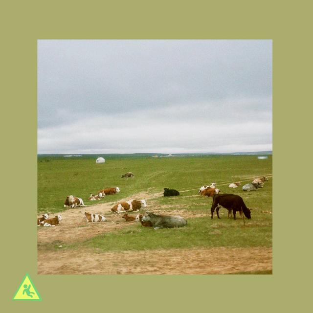 060 真正重要的事情不会被轻易错过 - podcast episode cover
