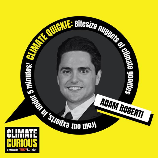 Climate Quickie: How community-led art is sparking climate conversations in Florida - podcast episode cover