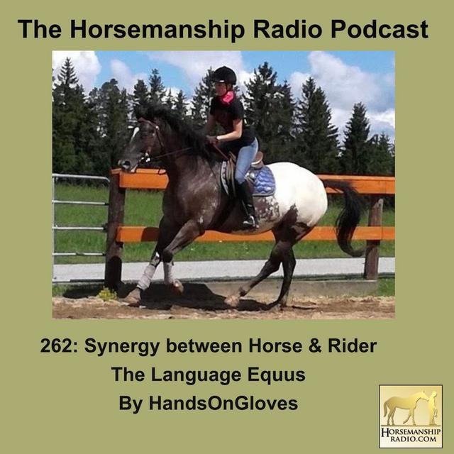 262: Synergy between Horse & Rider, The Language Equus, by HandsOnGloves - podcast episode cover