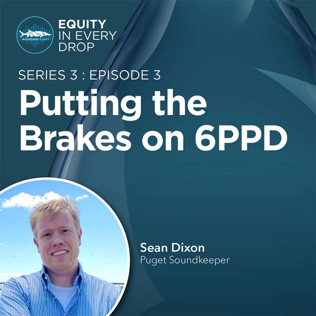 Putting the Brakes on 6PPD - podcast episode cover