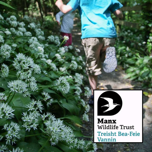 WILDTHING - TEMPERATE RAIN FOREST PROJECT. COULD YOU BE A WARDEN? - podcast episode cover