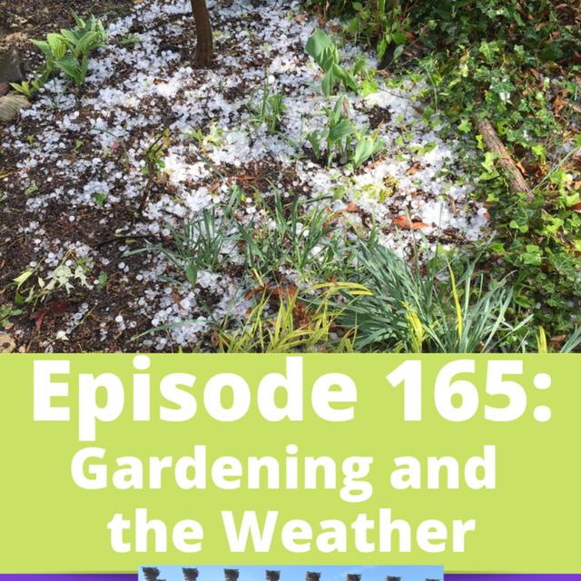 Gardening and the Weather with Margaret Roach - podcast episode cover