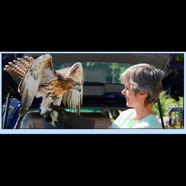 Episode 170: Wildlife Rehabilitation w/author Suzie Gilbert - podcast episode cover